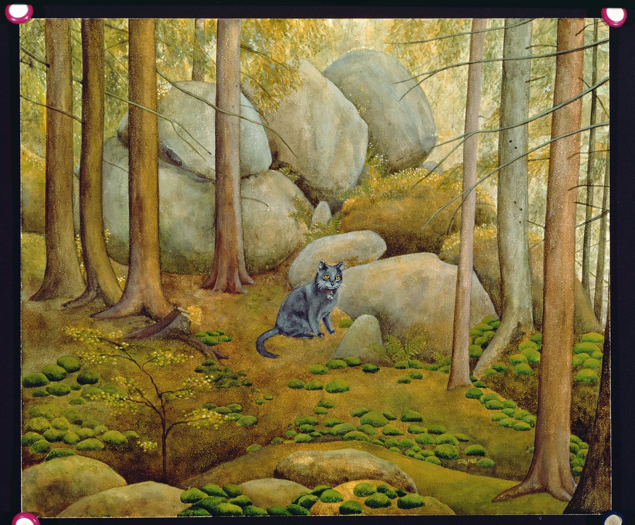 Nel bosco da Ditz