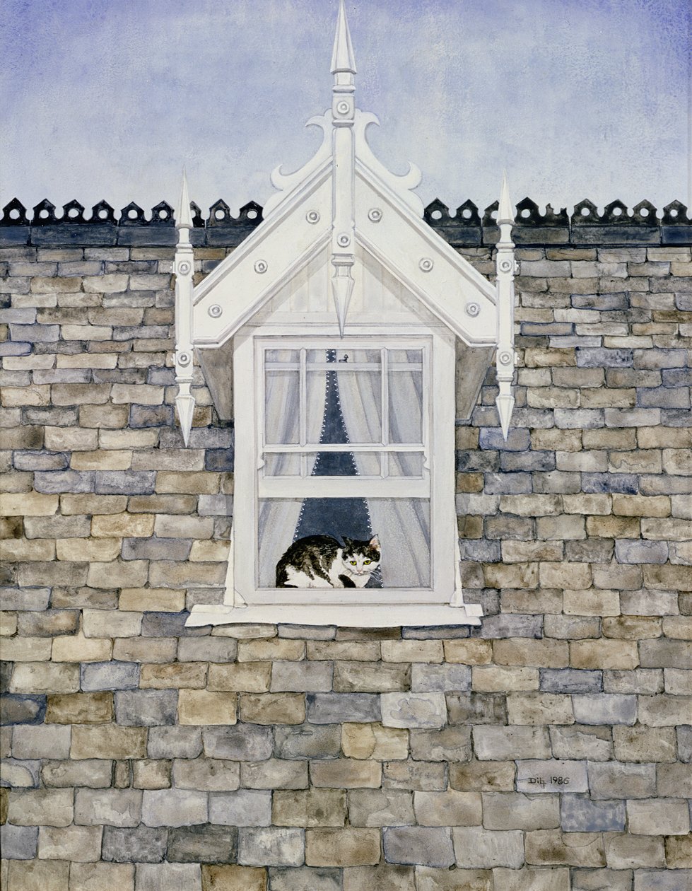 Gatto di St. Helier Dormer da Ditz