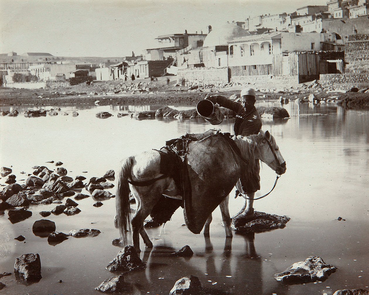 Un luogo di abbeveraggio, 1880s da Dmitri Ivanovich Yermakov