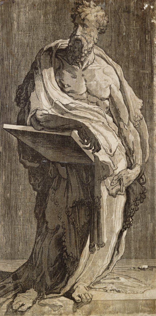 Un apostolo da Domenico di Pace Beccafumi  