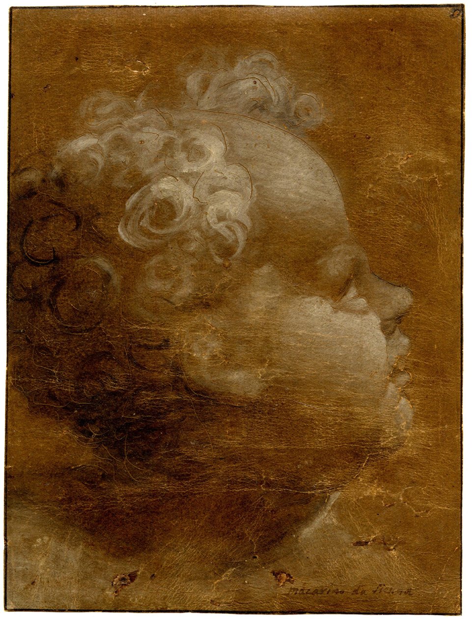 Beccafumi - Testa di bambino che guarda in alto, di profilo a destra Disegno a pennello a olio grigio-bruno e bianco, su carta preparata marrone, con linee dentellate, 1528 (circa) da Domenico Beccafumi