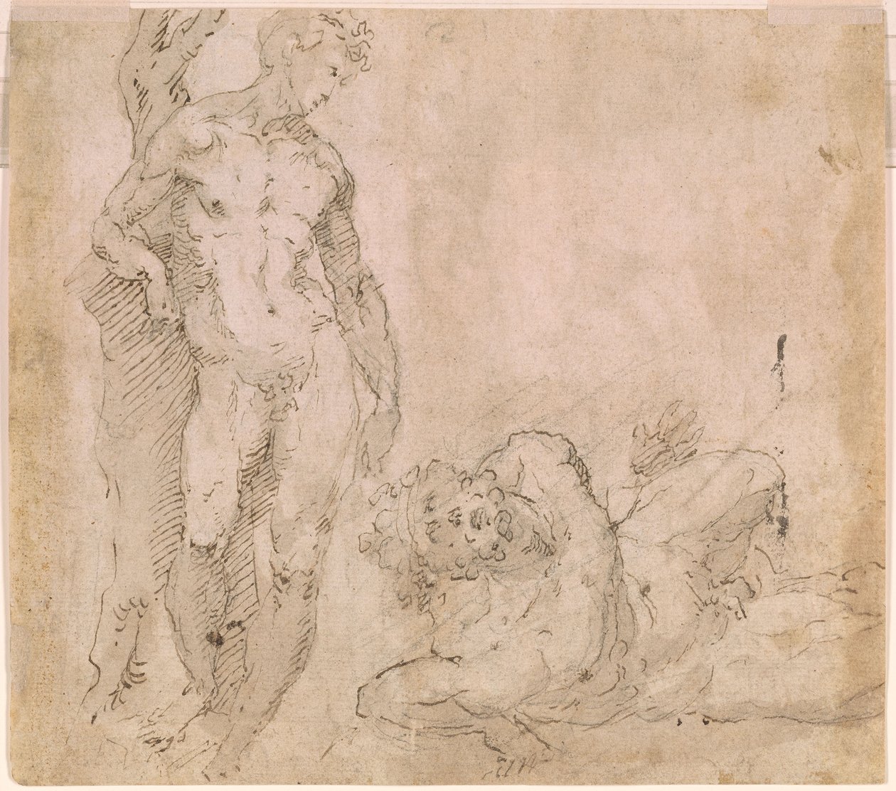 Beccafumi - Verso Nudo maschile appoggiato a un tronco d