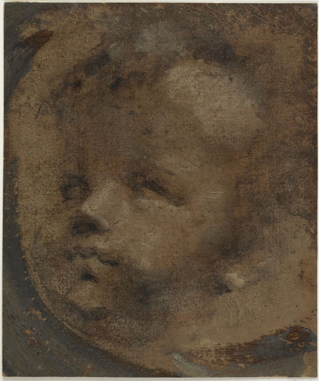 Testa di putto da Domenico Beccafumi