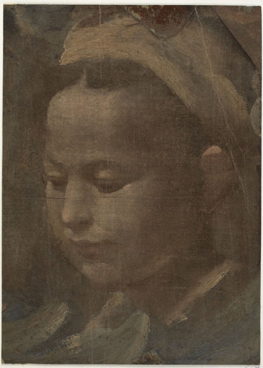 Testa di una giovane donna da Domenico Beccafumi