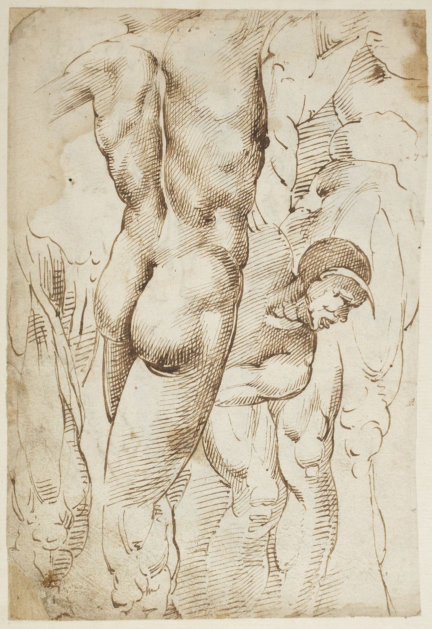 Studi di gambe e nudi maschili da Domenico Beccafumi