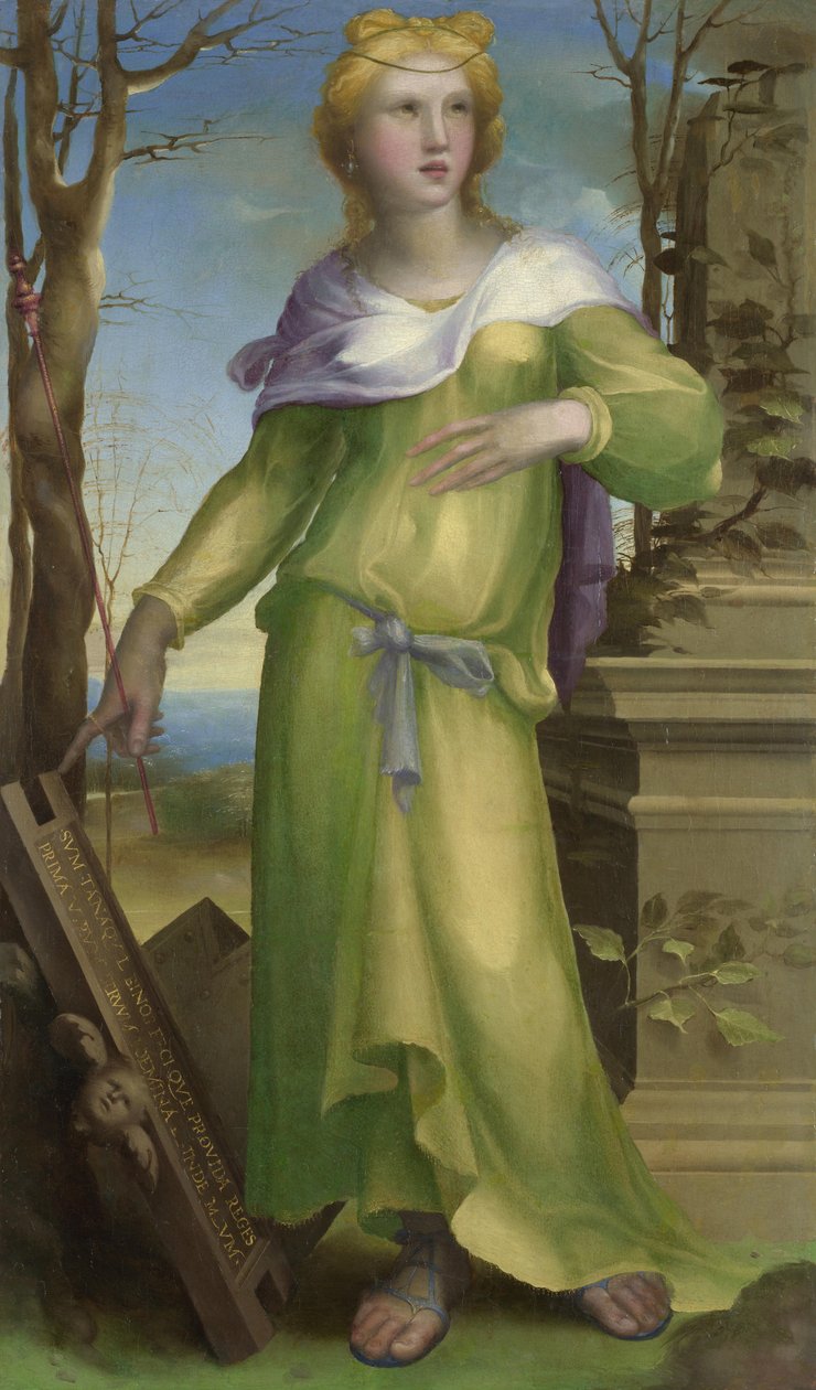 Tanaquil da Domenico Beccafumi