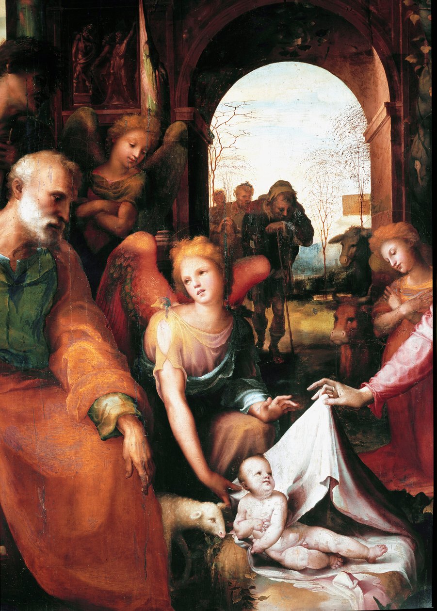 La natività (dettaglio) da Domenico Beccafumi