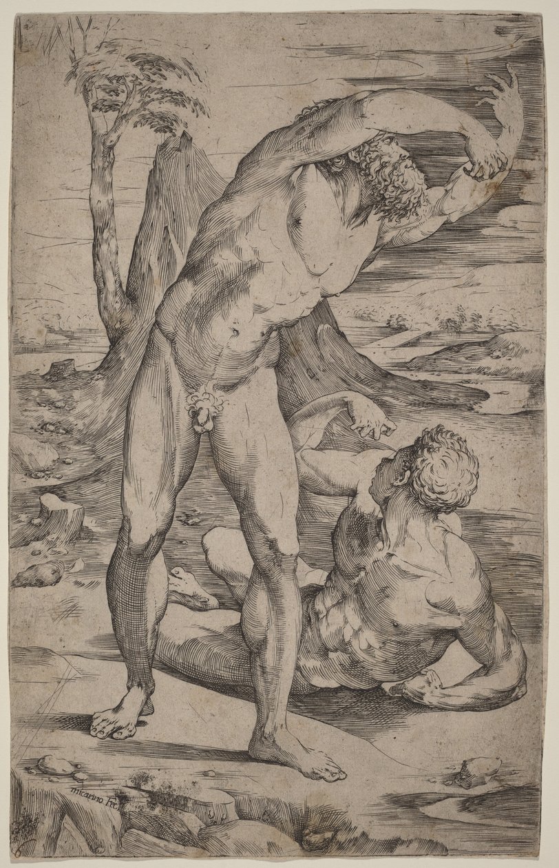 Due nudi maschili che gesticolano in un paesaggio da Domenico Beccafumi