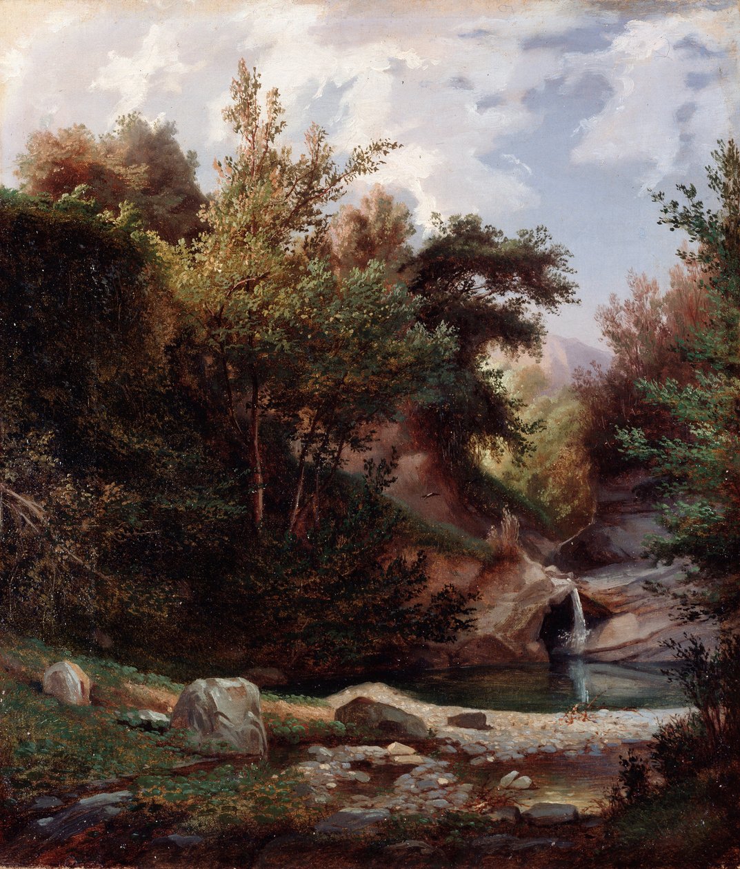 Paesaggio di natura, sottobosco e ruscello con cascata da Domenico Cambiaso
