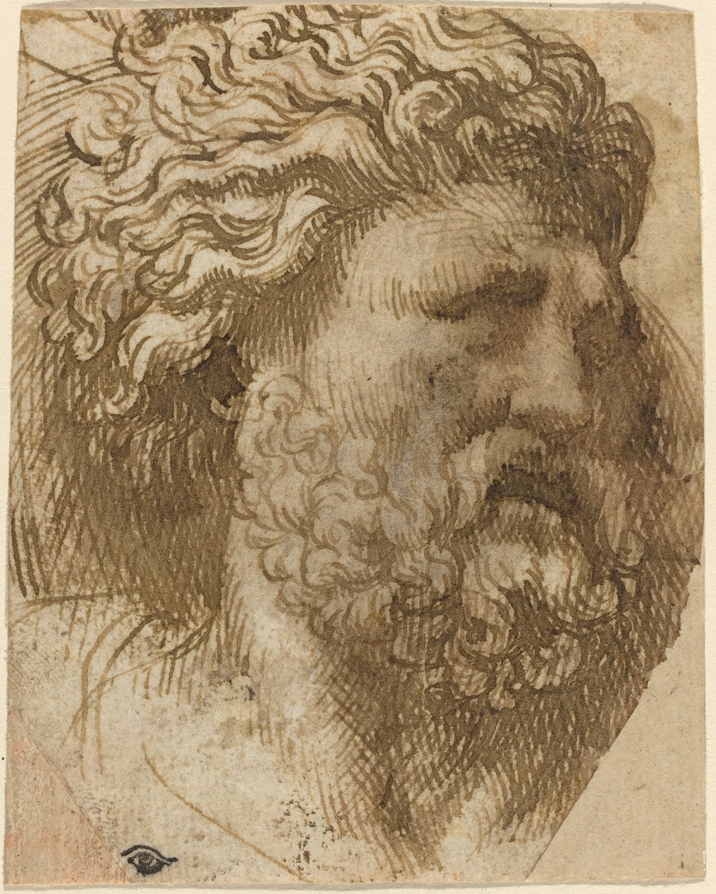 Testa di un Uomo da Domenico Campagnola