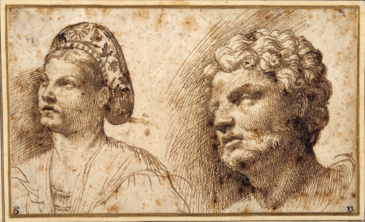 Studio della testa e delle spalle di una giovane donna che indossa una balza, e della testa di un uomo barbuto da Domenico Campagnola