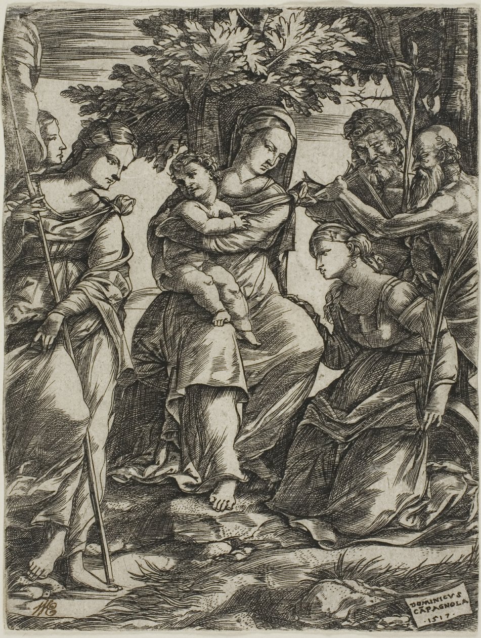 Vergine con Bambino e santi da Domenico Campagnola