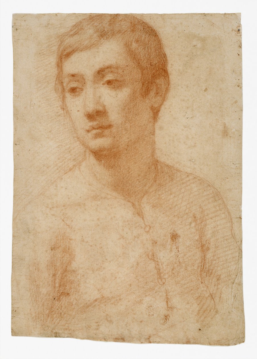 Testa di un Giovane, c.1600-25 da Domenico Cresti