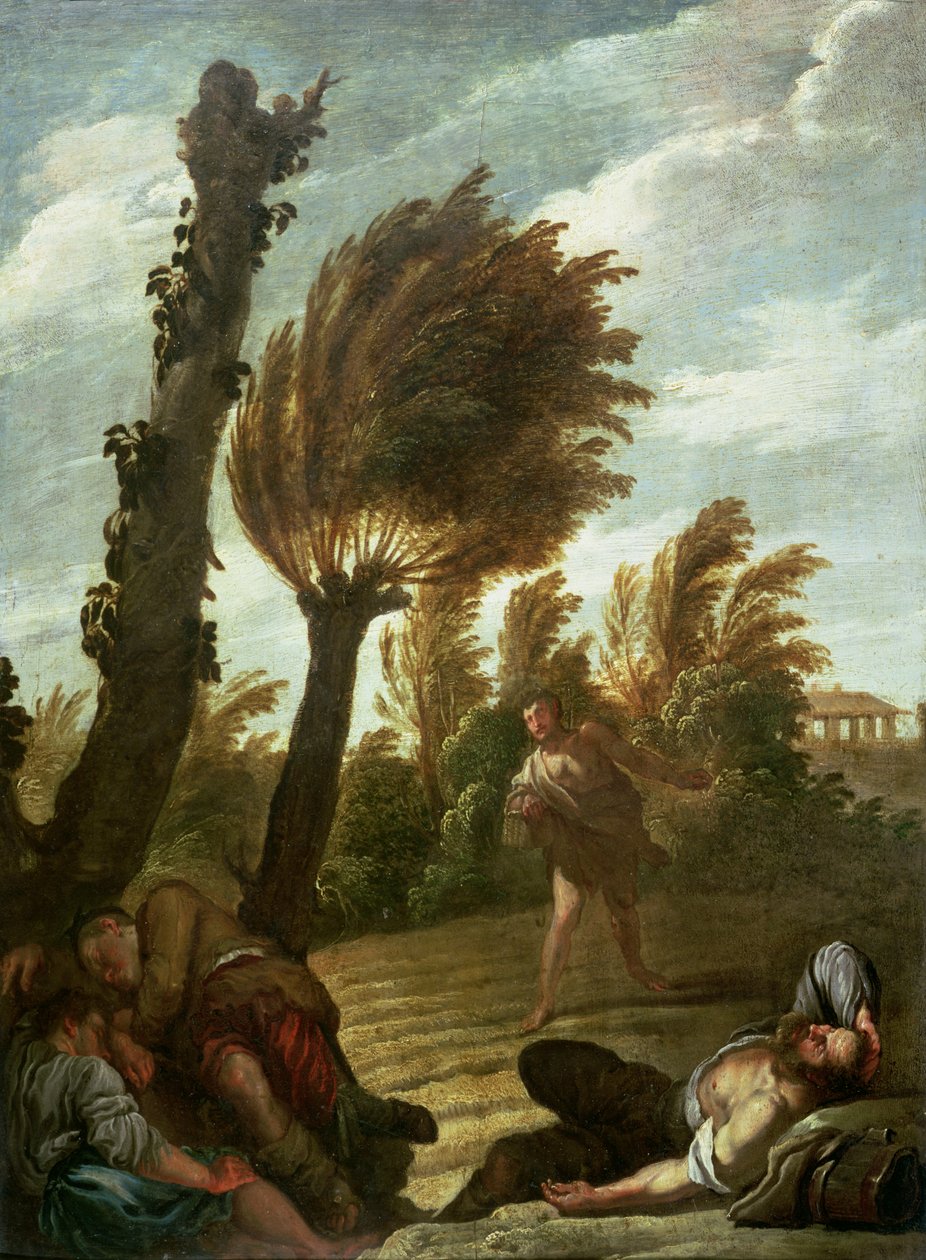 Parabola del seminatore di zizzania, c.1620-21 da Domenico Fetti or Feti
