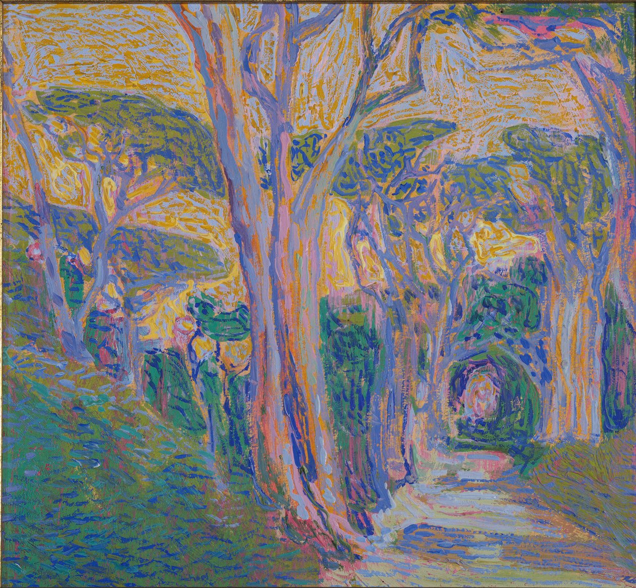 Foresta di pini a Portofino da Domenico Guerello