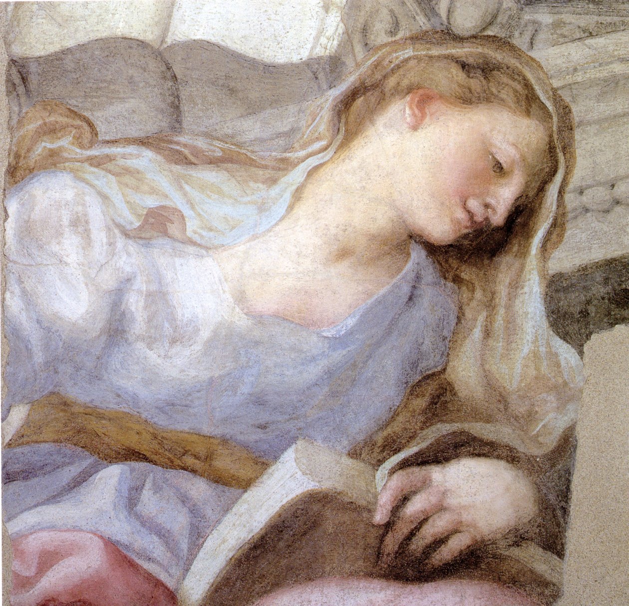 Personificazione della virtù da Domenico I Piola