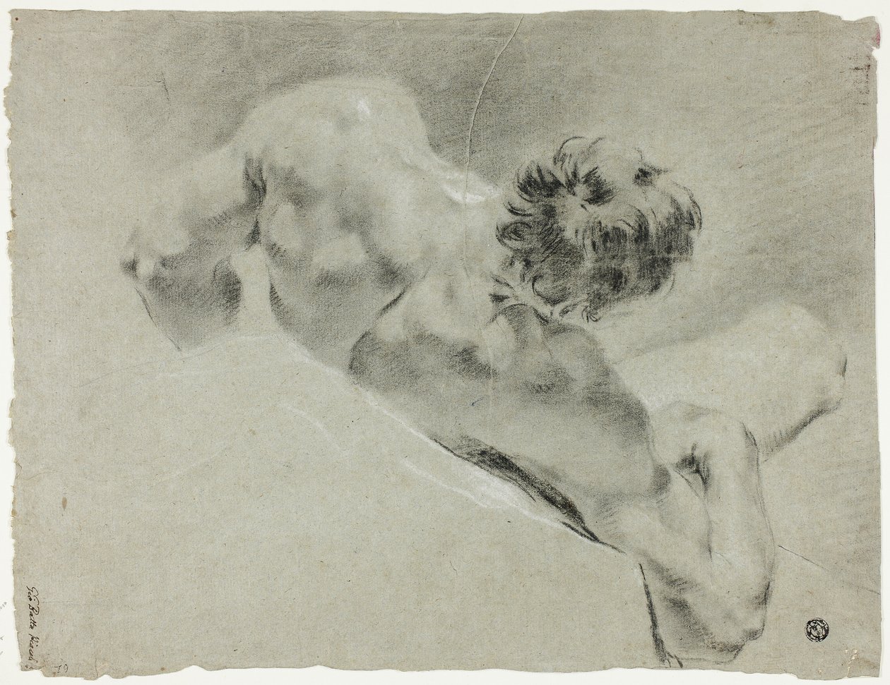 Nudo maschile visto di spalle da Domenico Maggiotto