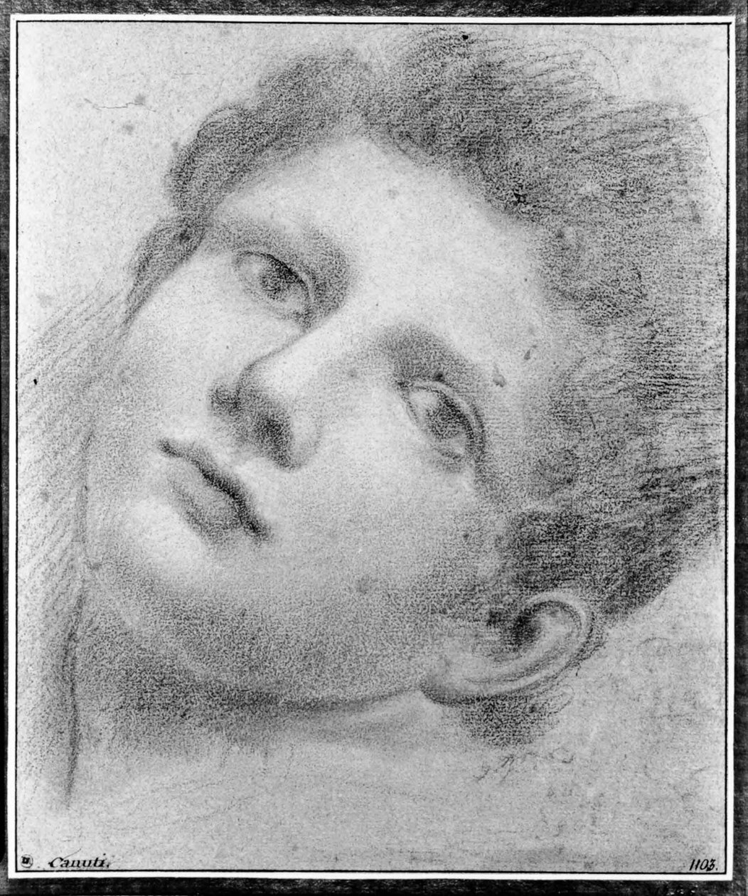 Testa di un ragazzo, piegata all’indietro da Domenico Maria Canuti