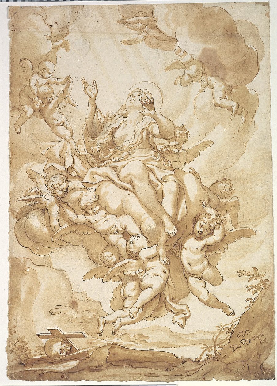 Ascensione di Santa Maria Maddalena da Domenico Piola