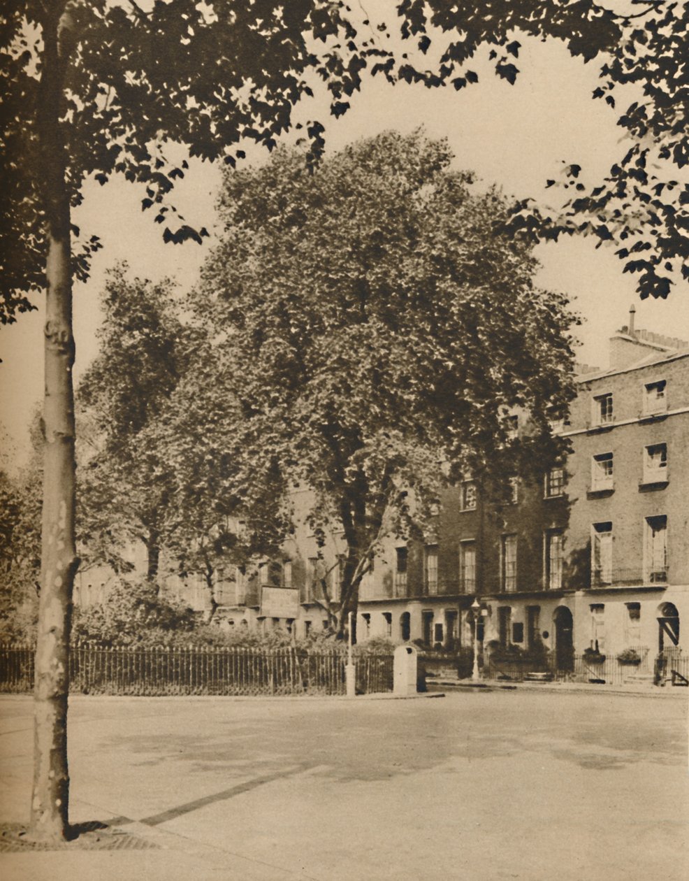 Gli alberi di platano di Torrington Square, c1935 da Donald McLeish