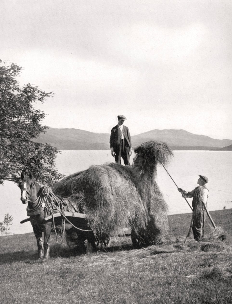 Caricamento del fieno su un carro sulle rive del Loch Lomond, Scozia, 1924-1926 da Donald McLeish