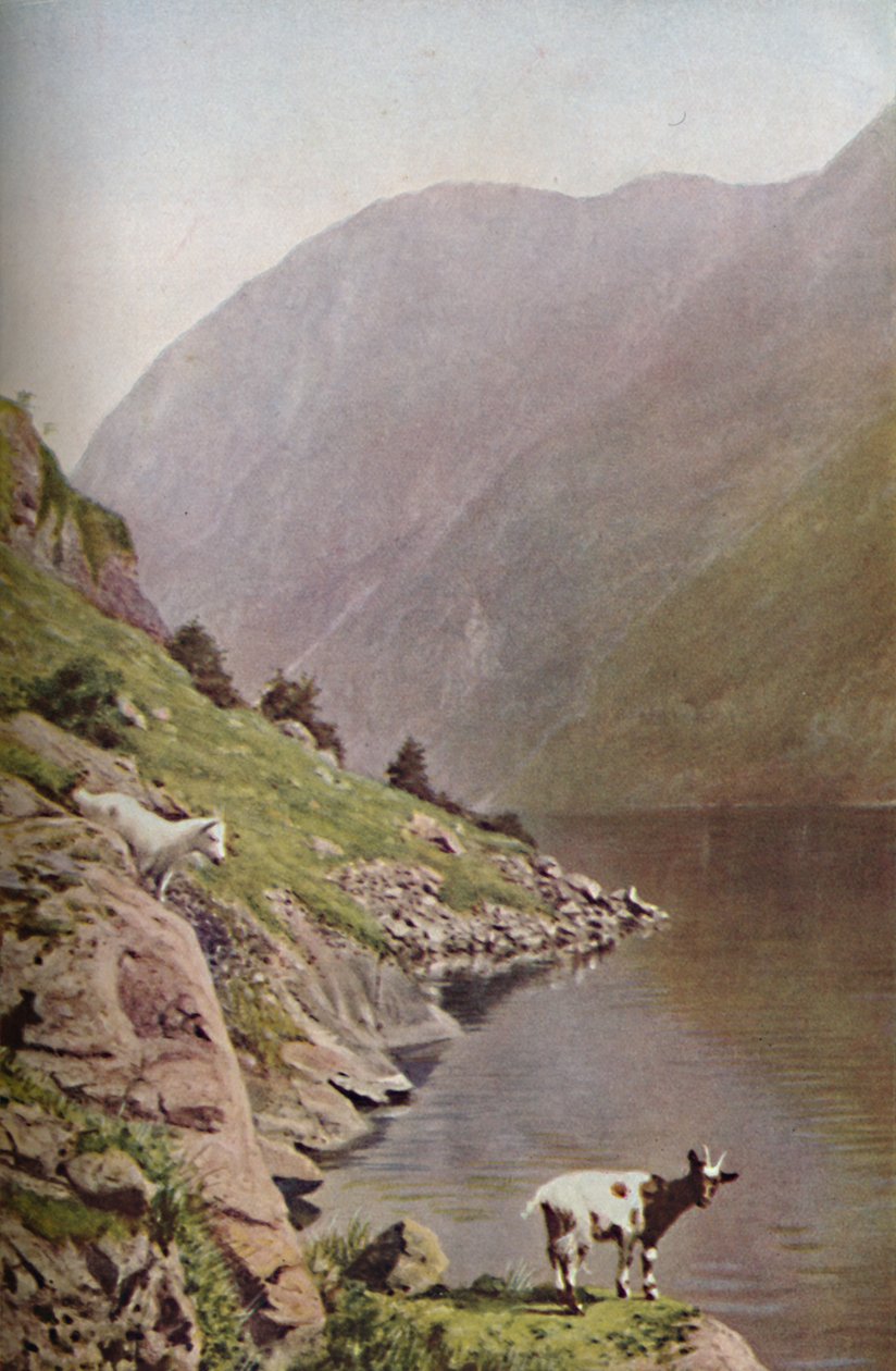 Norvegia, c1930s da Donald McLeish