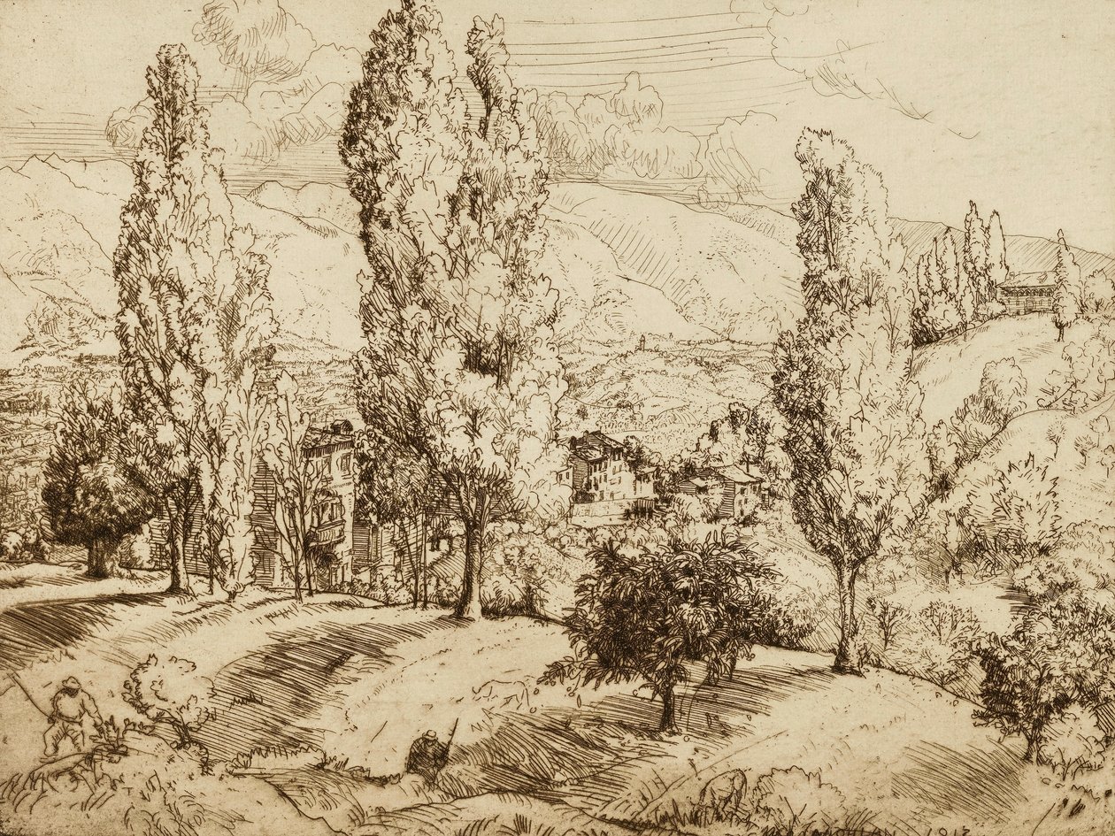 Campi di Asolo da Donald Shaw MacLaughlan
