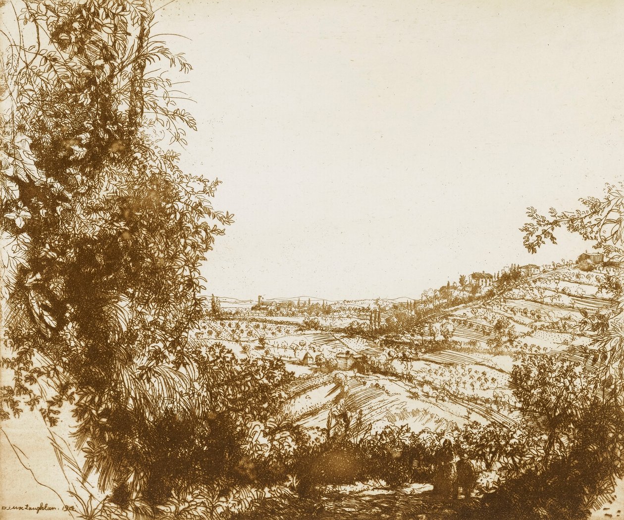 Oliveti da Donald Shaw MacLaughlan