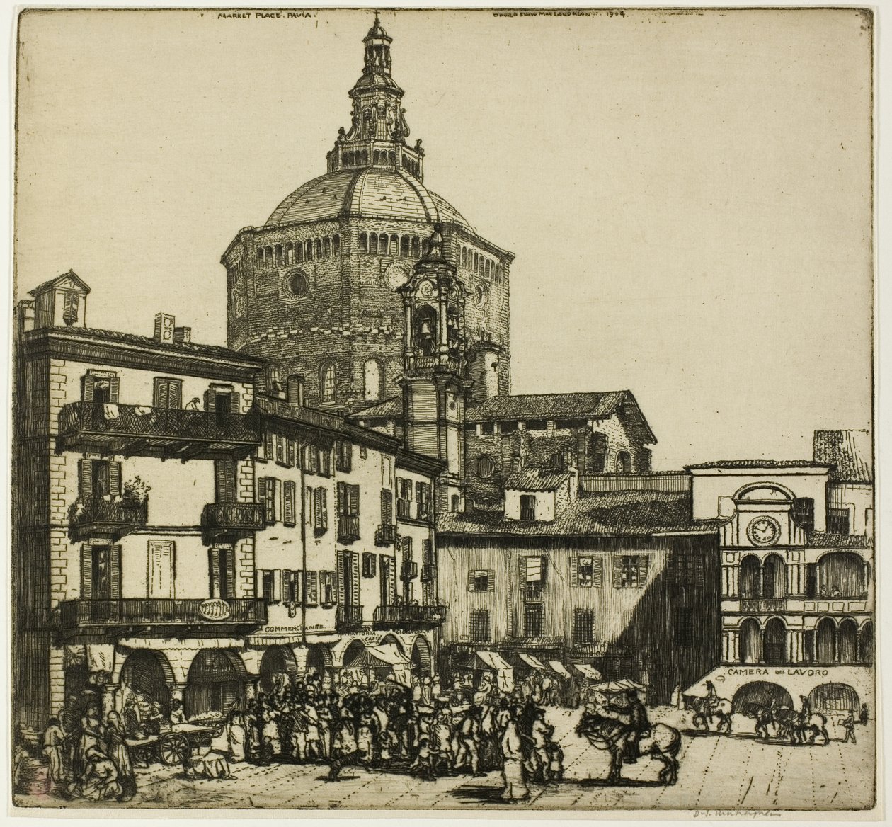 Pavia da Donald Shaw MacLaughlan