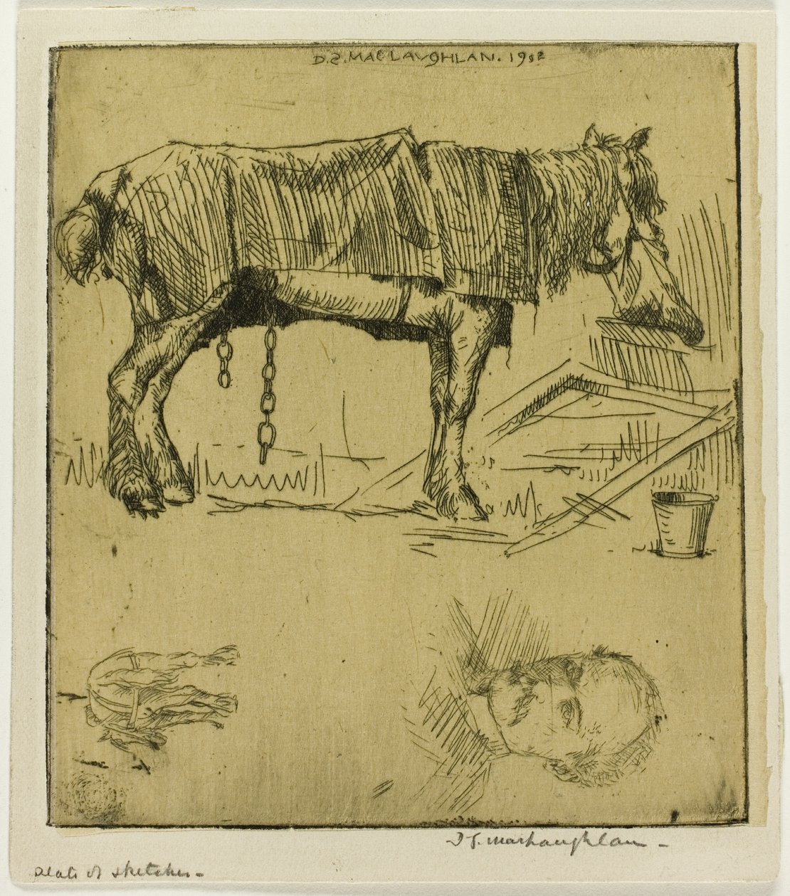 Tavola di schizzi da Donald Shaw MacLaughlan