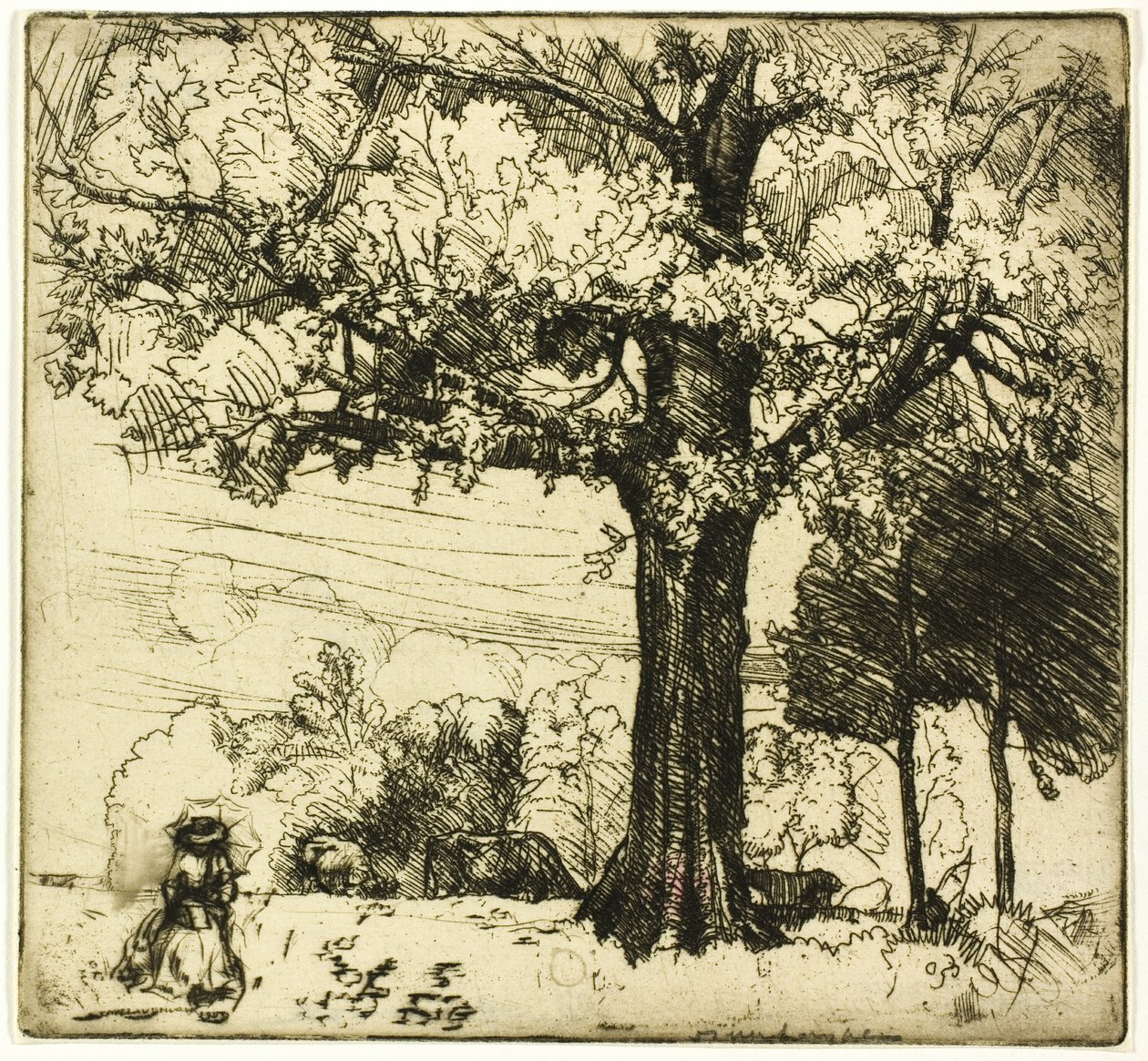 La Grande Quercia da Donald Shaw MacLaughlan