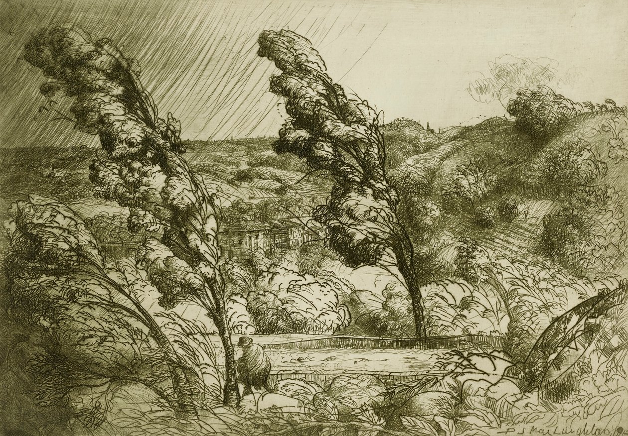 La Tempesta da Donald Shaw MacLaughlan