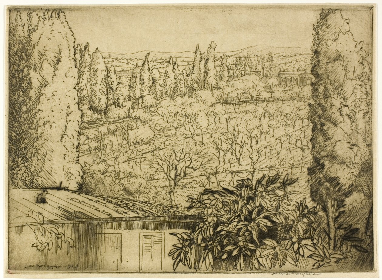 Toscana da Donald Shaw MacLaughlan