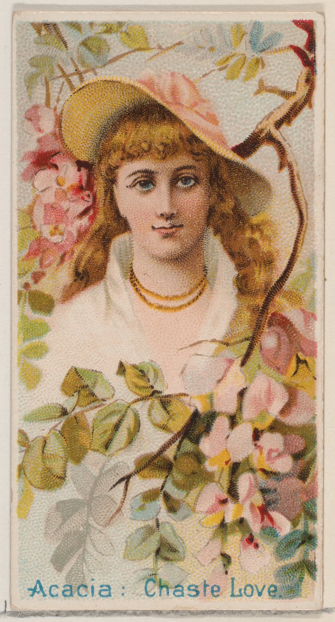 Acacia: Amore casto, dalla serie Bellezze floreali e linguaggio dei fiori N75 per Duk..., 1892 da Donaldson Brothers