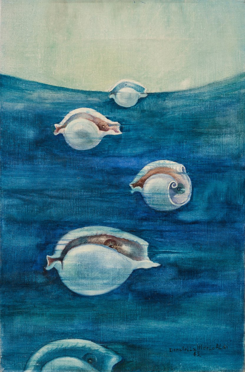Migrazione da Donatella Merlo