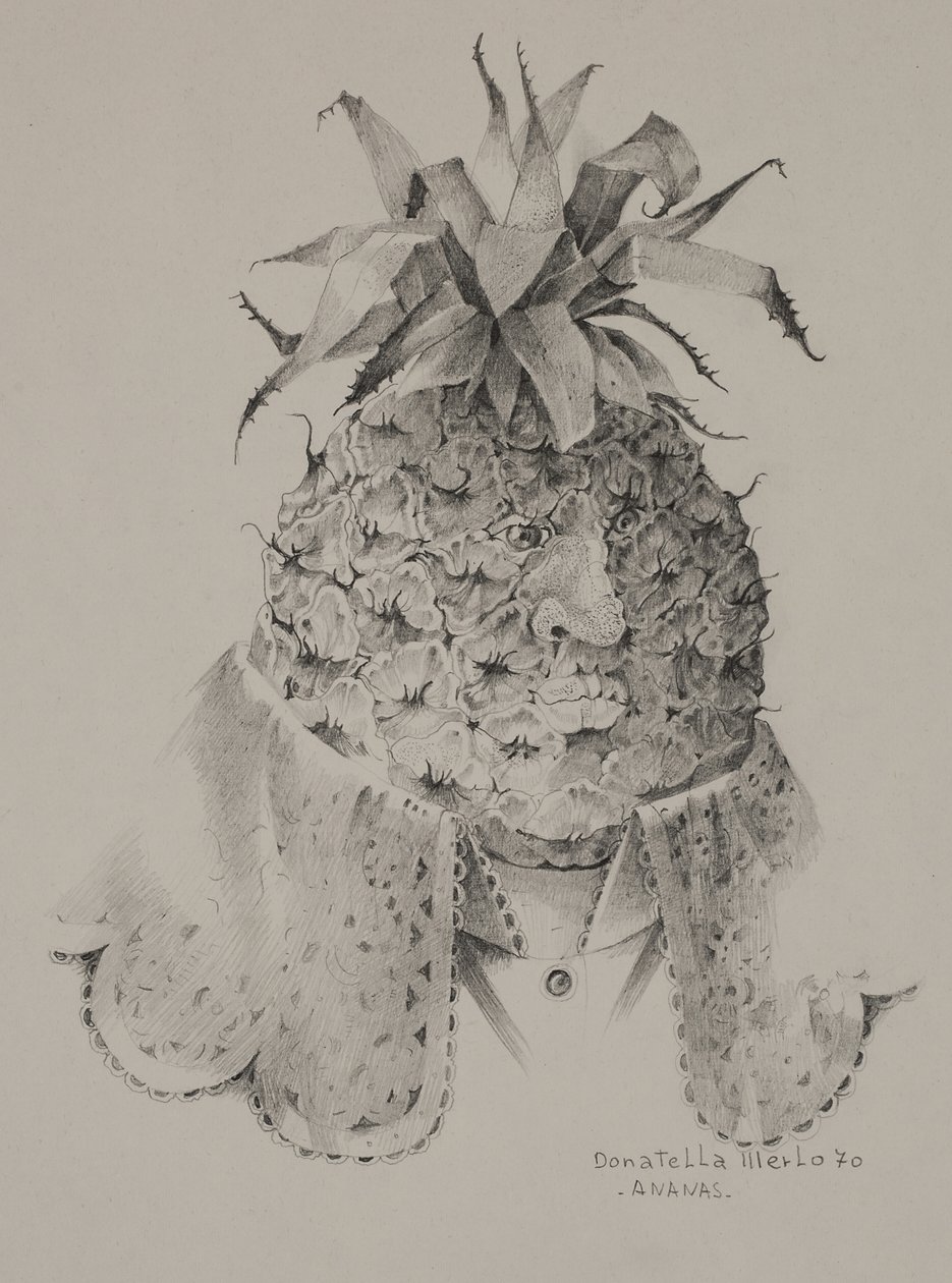 Ananas da Donatella Merlo
