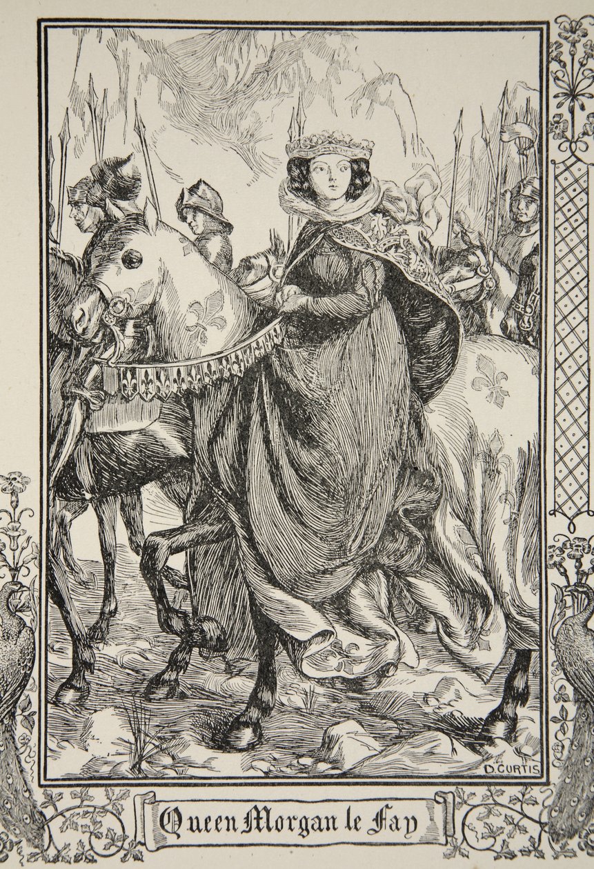 Regina Morgana le Fay, illustrazione da 