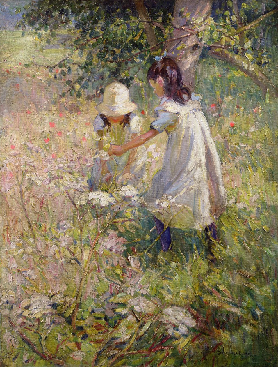  da Dorothea Sharp