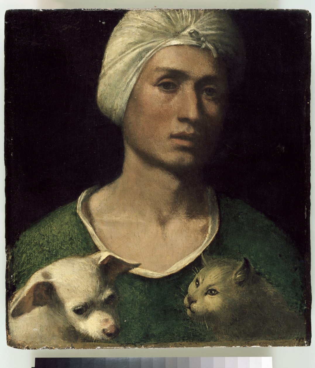 Ritratto di un giovane con un cane e un gatto da Dosso Dossi