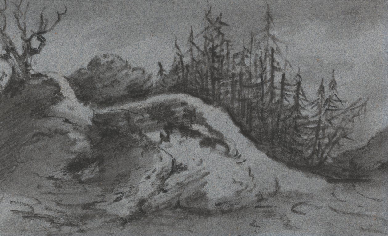 Composizione di rocce e pini da Dr. Thomas Monro