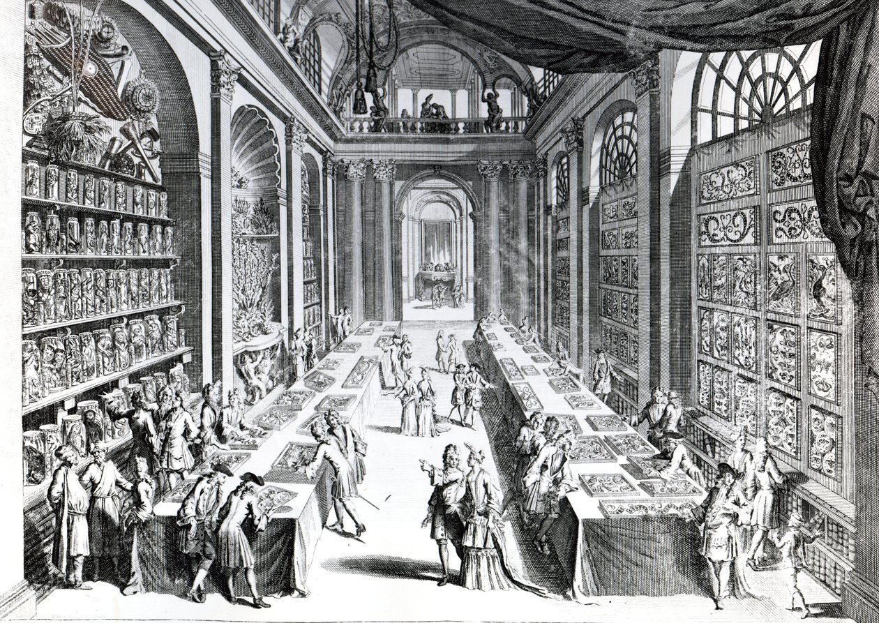 Illustrazione da 