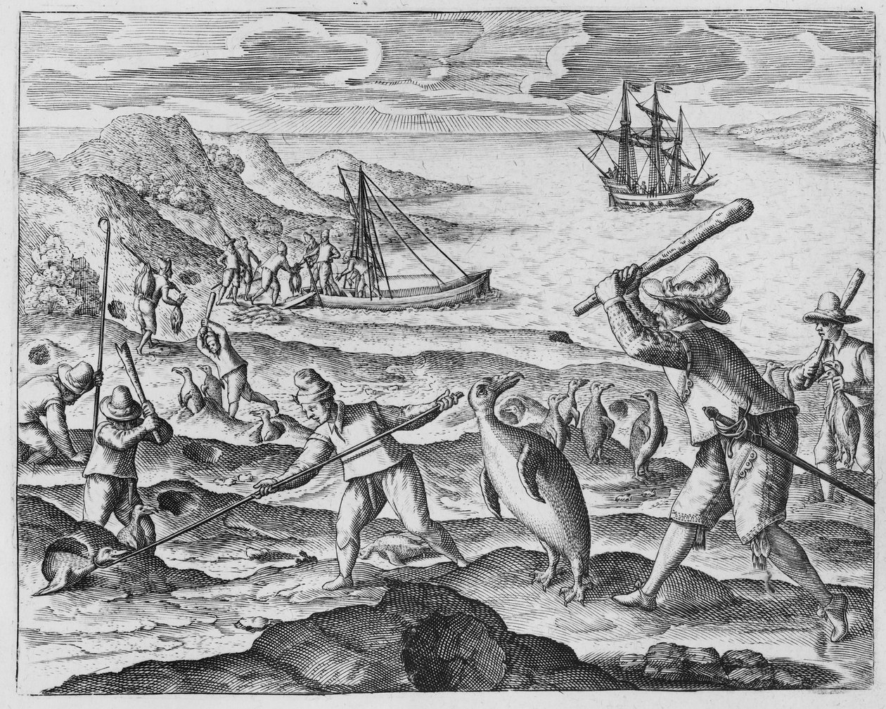 Caccia ai pinguini, 1598 da Dutch School