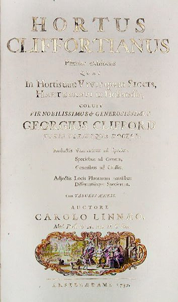 Pagina del titolo di Hortus Cliffortianus di Carl Linnaeus (1707-78) Amsterdam, 1737 da Dutch School