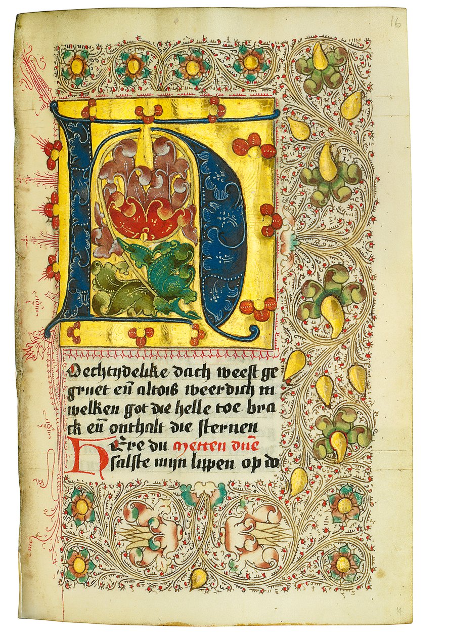 Libro d