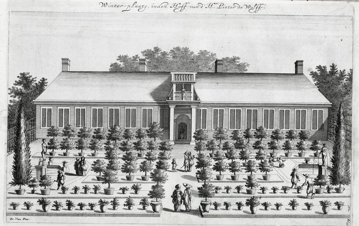 Giardino olandese, da De Nederlandze Hesperides di Jan Commelin, pubblicato nel 1676 da Dutch School