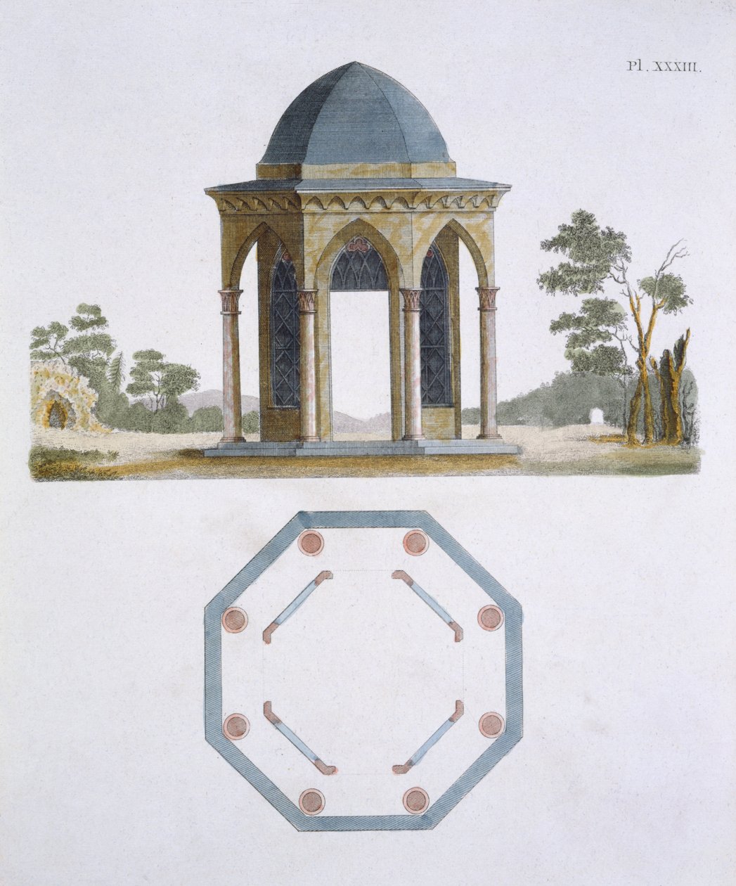 Illustrazione dal Magazine of Garden Gems di G Van Laar, 1802 da Dutch School