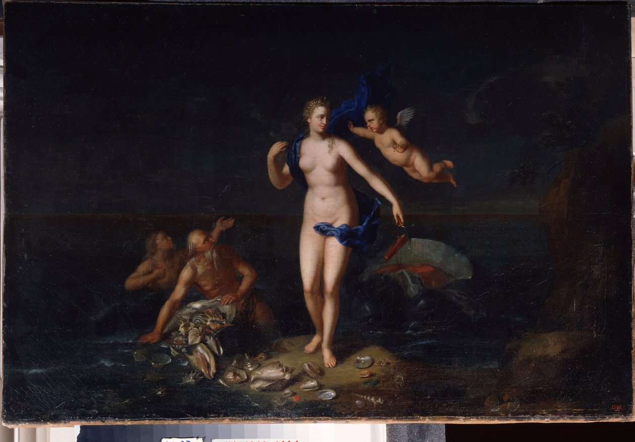 La nascita di Venere da Dutch School