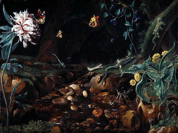 Ruscello in una valle con fiori e rettili da Dutch School
