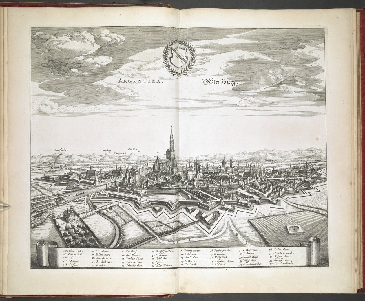 Veduta di Strasburgo da 