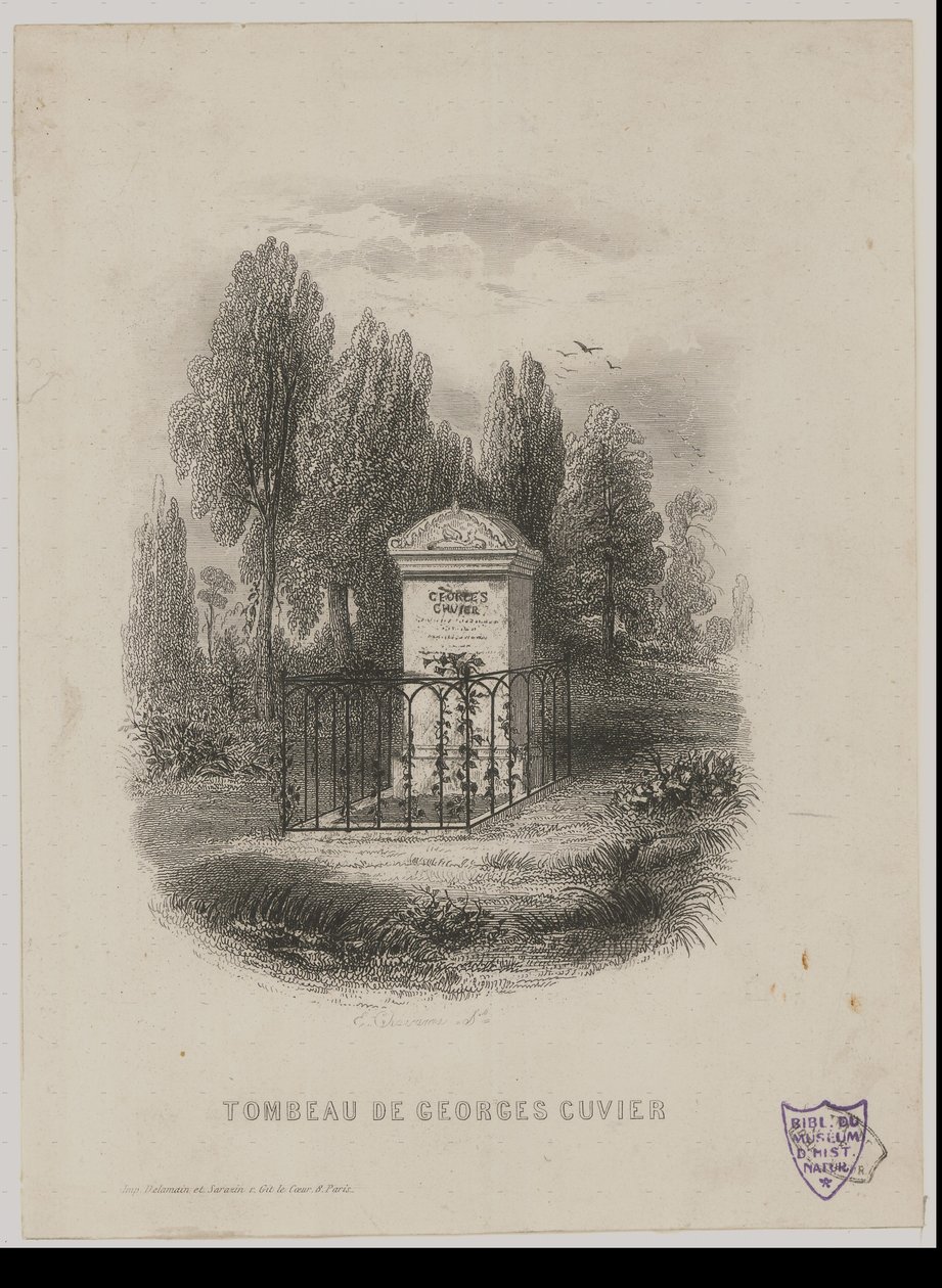 Tomba di Georges Cuvier da E. Chavanne